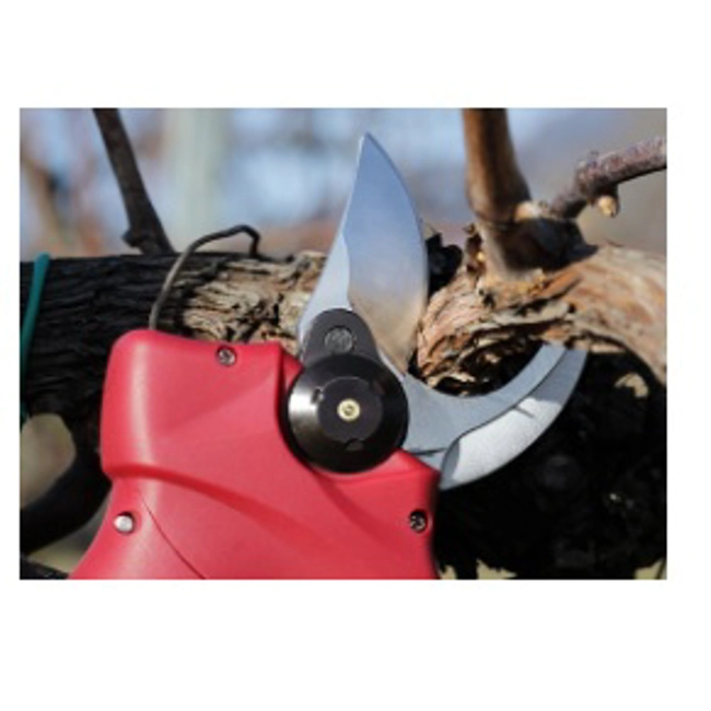Vendita online Forbice a batteria cordless FE08-32